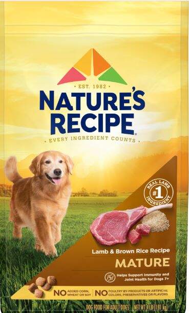 All about best cheap dog food.